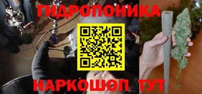 МДПВ Лесосибирск