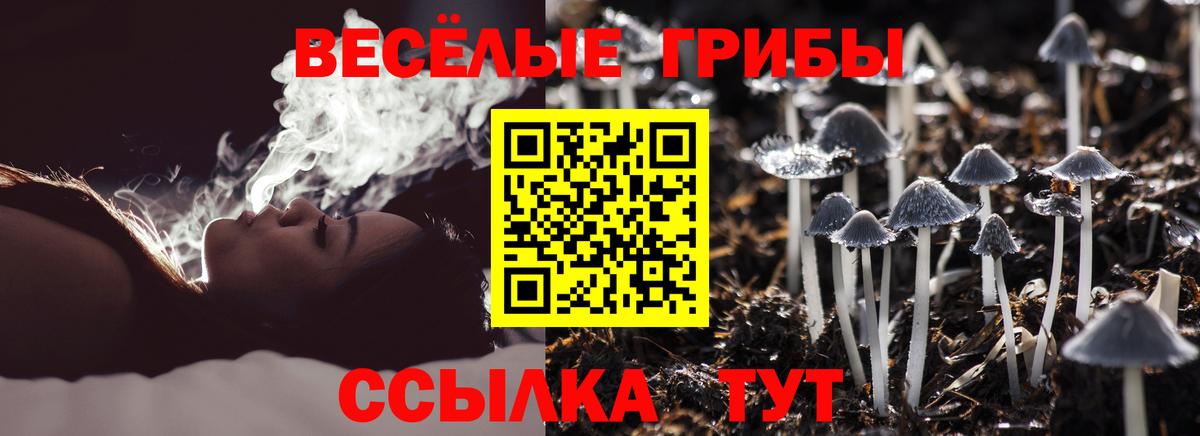 Бердск  магазин    Вход с VPN  Галлюциногенные грибы мухоморы 